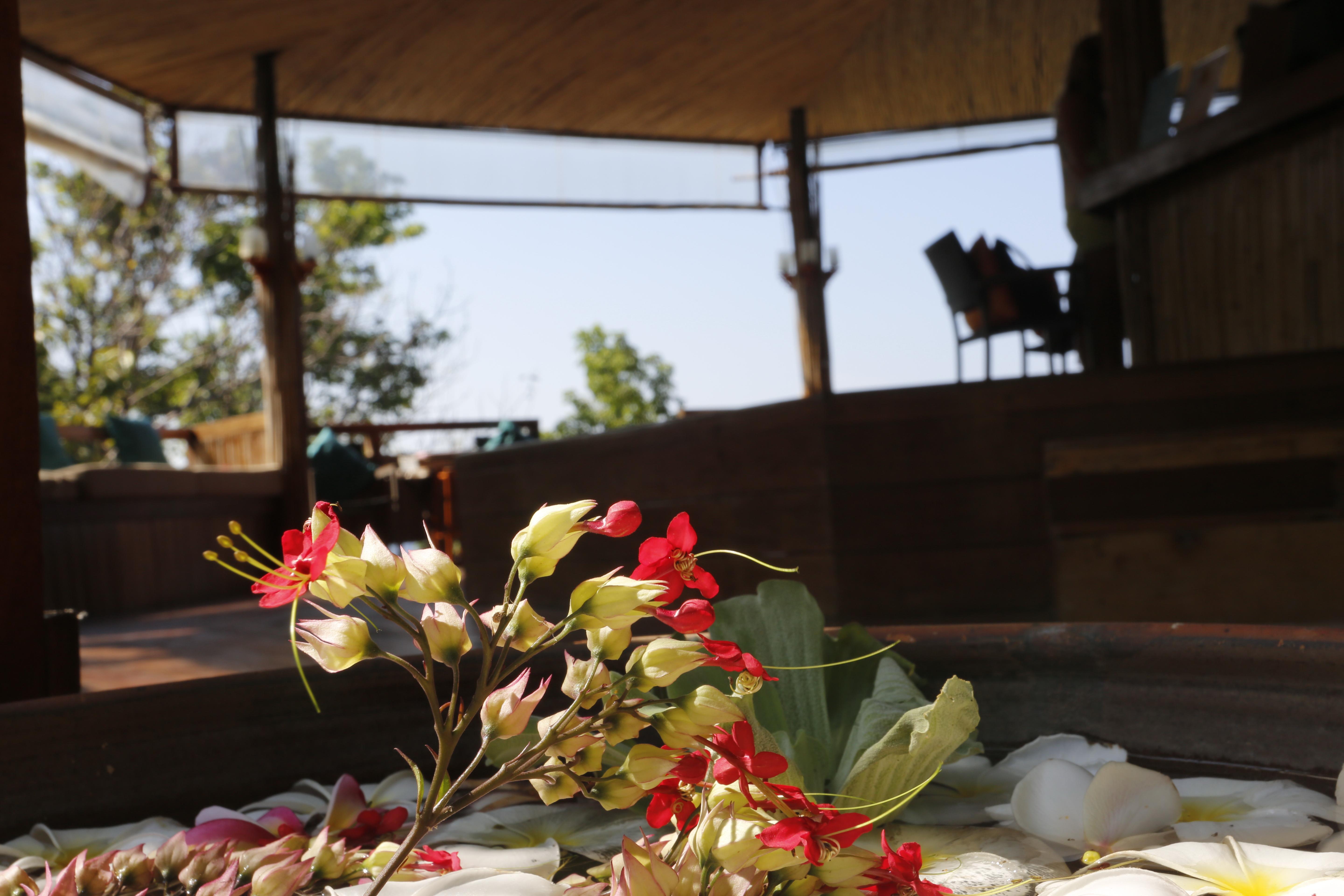 Koh Tao Hillside Resort Zewnętrze zdjęcie